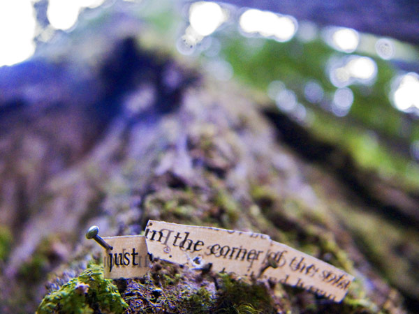 Pin #9: Justin the corner of the sofa